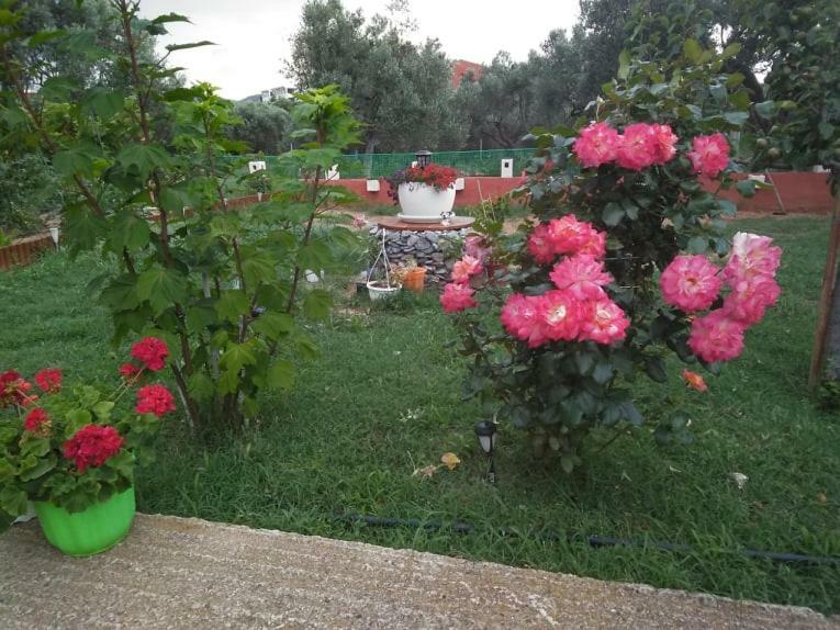Dora'S Garden Villa Alexandroupoli Eksteriør billede